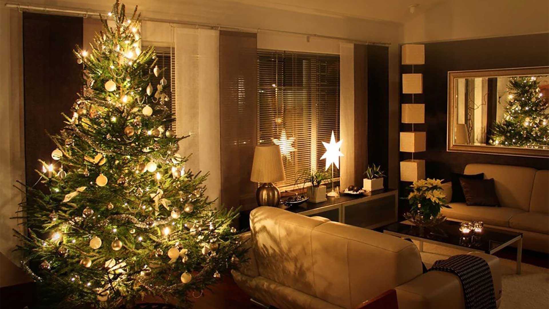 christmas-tree-in-living-room-staten-island-ny